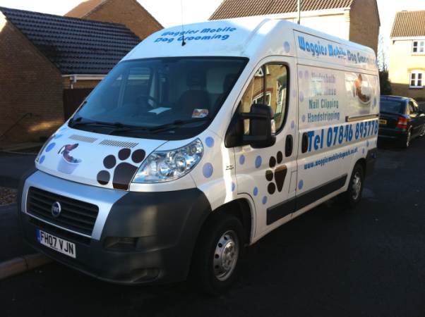 mobile dog grooming and washing Portsmouth Hampshire